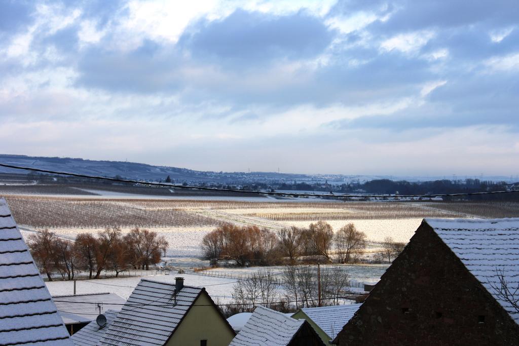 Gites Des Dix Vins Dangolsheim Екстер'єр фото